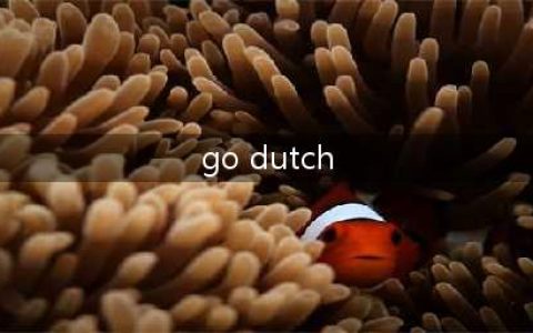 “go Dutch”不是“AA制”的意思！不要理解错了！(go dutch)