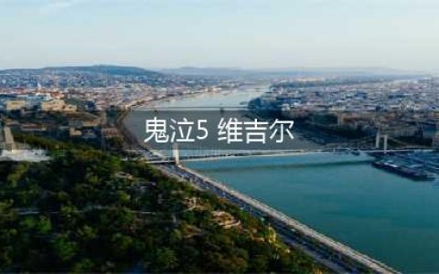 鬼泣5使用维吉尔方法