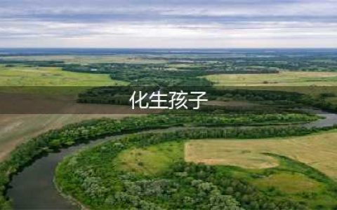 梦幻西游手游化生寺孩子带法 速度是重点(化生孩子)