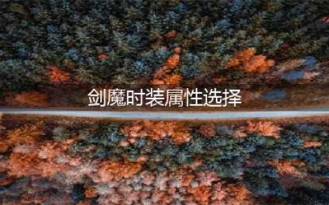 剑魔时装属性选择 剑魔时装属性选择什么