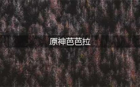 《原神》3.4芭芭拉圣遗物怎么选择 3.4芭芭拉圣遗物选择攻略