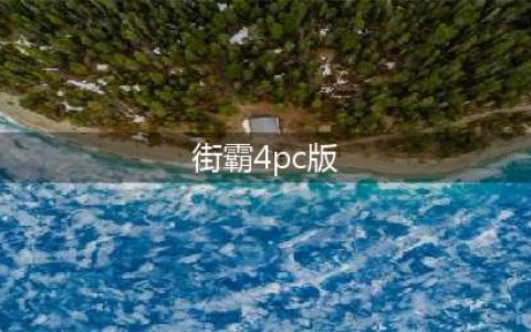 《街头霸王4冠军版志》电脑版怎么下载 电脑版下载与安装教程(街霸4pc版)