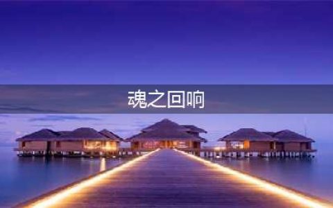 魂之回响 这是什么游戏
