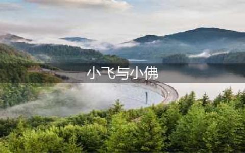如何画《飞哥与小佛》中的飞哥(小飞与小佛)