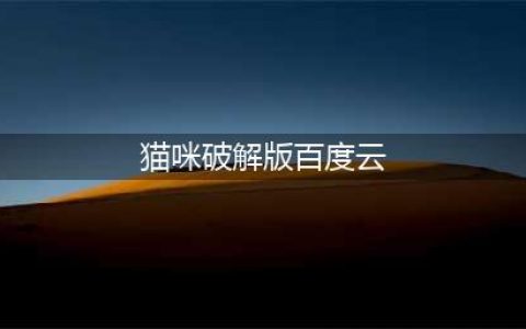 网盘下载速度慢？老司机带你来飙车(猫咪破解版百度云)