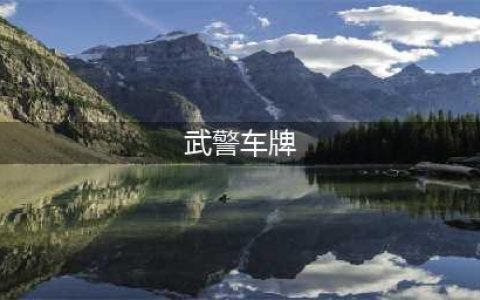式样与解放军一致！时隔6年，武警部队换发新式车牌有何寓意 ？(武警车牌)
