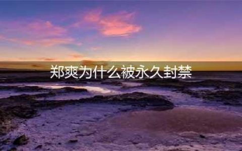 郑爽为什么被永久封禁！(郑爽为什么被永久封禁)