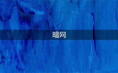 贩卖人口、传播色情：“暗网”到底有多可怕？它到底是什么？(暗网)