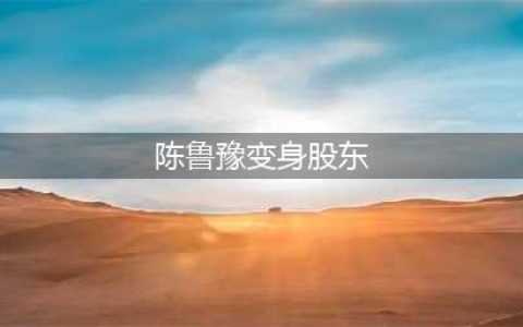 陈鲁豫变身大股东 公司资产超4亿(陈鲁豫变身股东)