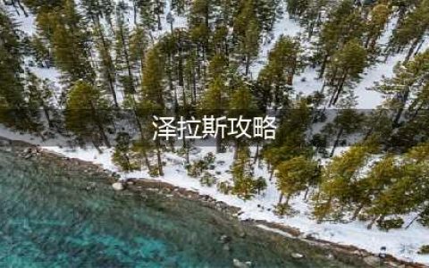 《LOL》泽拉斯怎么玩 s10泽拉斯玩法攻略大全(泽拉斯攻略)