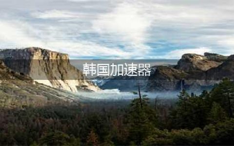 韩服游戏加速器哪个好 biubiu加速器便捷无延迟(韩国加速器)