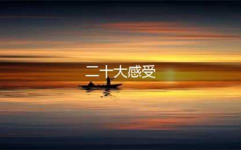学习二十大心得体会(二十大感受)
