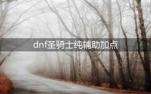 《DNF手游》韩服圣骑士技能加点攻略(dnf圣骑士纯辅助加点)