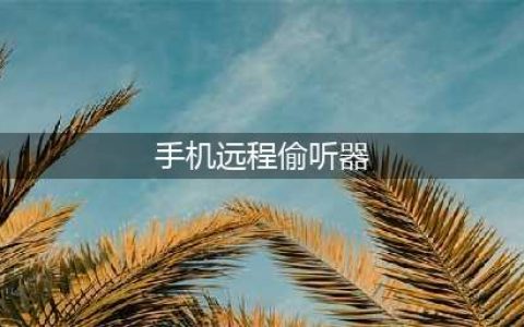 揭秘手机窃听神器免费破解版App成“跟踪者”(手机远程偷听器)