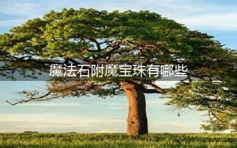 dnf魔法石附魔宝珠有哪些(魔法石附魔宝珠有哪些)