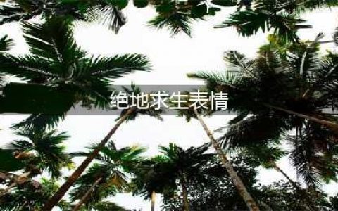 《绝地求生》现有12大表情汇总 各个表情都栩栩如生