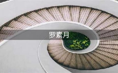 《江南百景图》新角色罗素月怎么样 新角色罗素月介绍(罗素月)