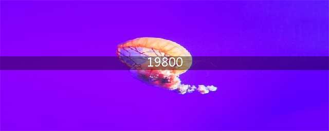 100元纸币报价19800元，就是这个号码，你能找到吗？(19800)