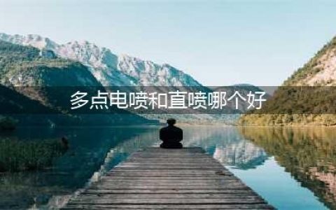 “缸内直喷”VS“多点电喷”哪个好？知道多一点，少被坑一点！(多点电喷和直喷哪个好)