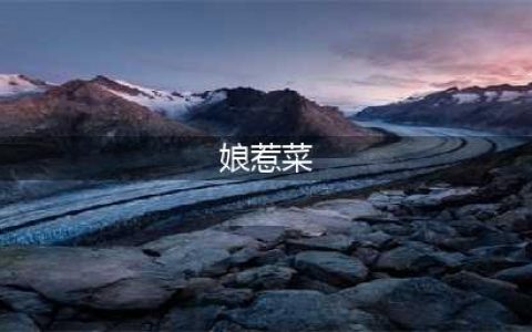 娘惹菜是什么菜？全方面解读你不知道的土生华人美食文化(娘惹菜)