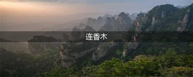 焦糖味彩叶“连香”你见过吗？80后女“海龟”扎根崇明10年成功引种“熊猫树”(连香木)