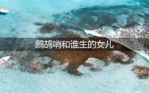《龙岭迷窟》鹧鸪哨为什么最终去了美国，到底和谁结婚生的女儿？(鹧鸪哨和谁生的女儿)