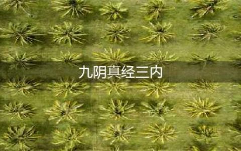 九阴真经明教三内 九阴真经明教三内是什么(九阴真经三内)