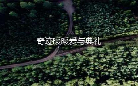 奇迹暖暖梦恋奇迹5爱与典礼高分搭配攻略