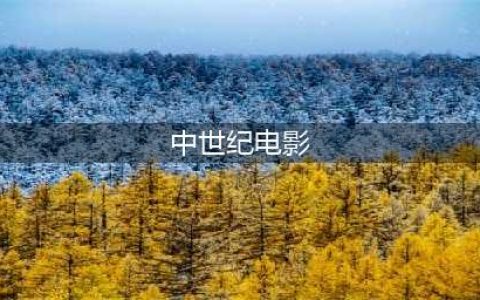 10部欧洲中世纪战争电影推荐(中世纪电影)