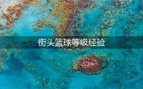 街篮新手怎么快速升级 街篮刷等级技巧推荐(街头篮球等级经验)