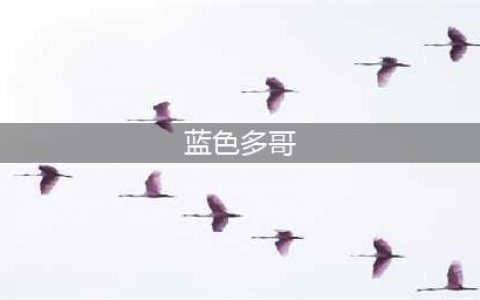 洛克王国胆小的蓝色多哥任务怎么玩 胆小的蓝色多哥活动攻略(蓝色多哥)