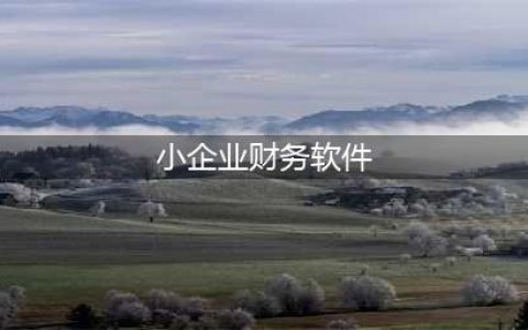 十大财务软件排名 最受小企业欢迎的十大财务软件排名(小企业财务软件)