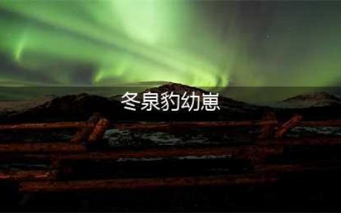 《魔兽世界》坐骑冬泉霜刃豹怎么获得 冬泉霜刃豹获得方法