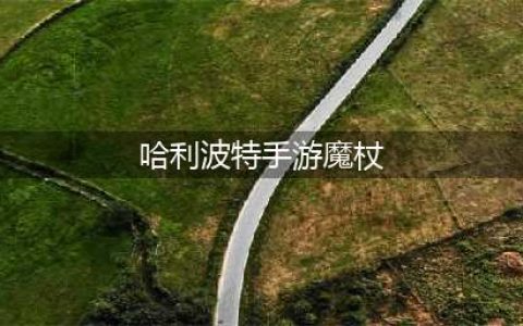 《哈利波特手游》魔杖哪个最厉害 最强魔杖排行榜(哈利波特手游魔杖)