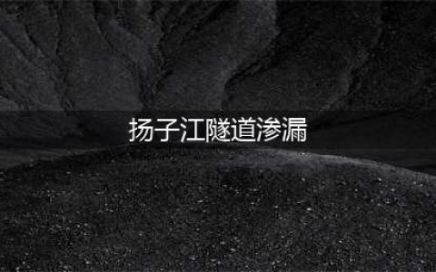 惊！扬子江隧道渗漏？这样的隧道有哪些防水措施？(扬子江隧道渗漏)