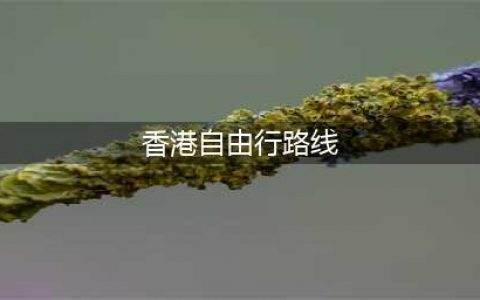 去香港自由行路线攻略(香港自由行路线)