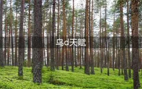 《魔兽世界》10.0前夕鸟德天赋怎么加点 10.0前夕鸟德天赋加点攻略