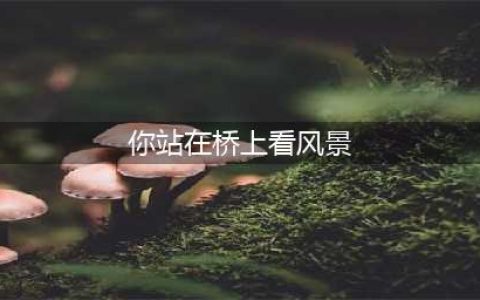 你站在桥上看风景，看风景的人在楼上看你，《断章》诗歌评析(你站在桥上看风景)