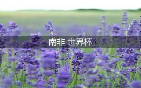 青春风暴！2024 U20世界杯：南非与英格兰的绿茵对决(南非 世界杯)