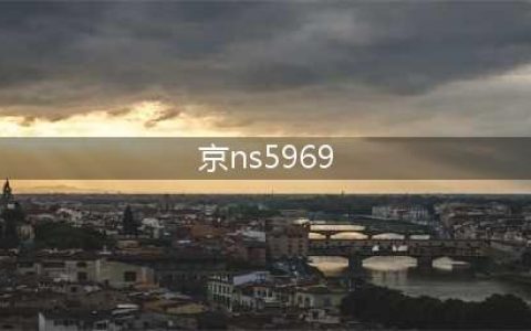 今天，京NS5969气炸全国网友！刚刚，司机疑似自首！(京ns5969)