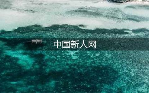 中国新人网执行总裁荣先元的互联网+(中国新人网)
