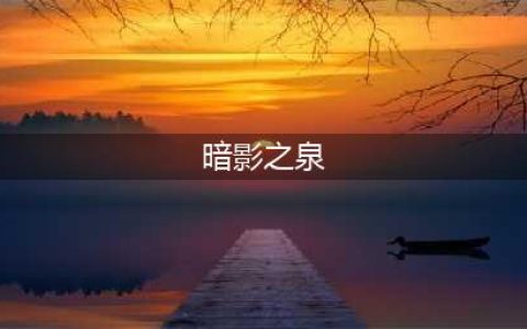 暗影之拳为什么改名离群之刺(暗影之泉)