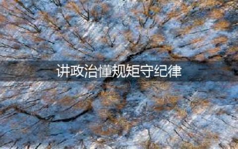 讲政治、懂规矩、守纪律(讲政治懂规矩守纪律)