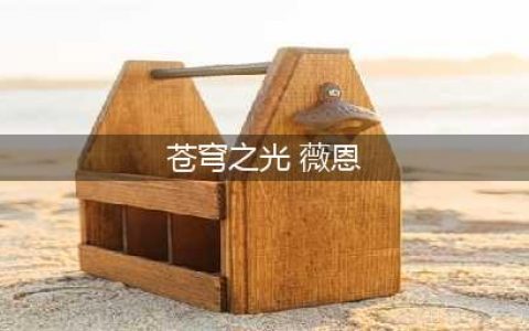 lol有哪些英雄有苍穹之光的皮肤(苍穹之光 薇恩)