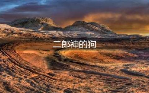 《不思议迷宫》二郎神冈布奥怎么养狗 二郎神冈布奥养狗方法