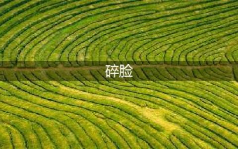《魔兽世界怀旧服》碎脸者怎么获得 碎脸者获得方法分享(碎脸)
