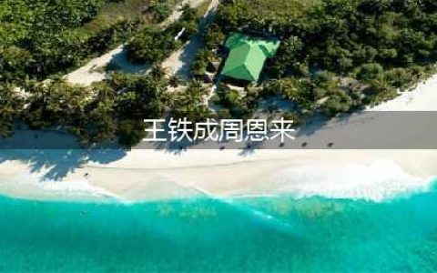 同样是演周总理，将王铁成、刘劲和孙维民放一起看，差别就出来了(王铁成周恩来)