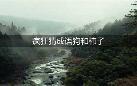《疯狂猜成语》一个狗两个柿子猜一个成语是什么答案介绍(疯狂猜成语狗和柿子)