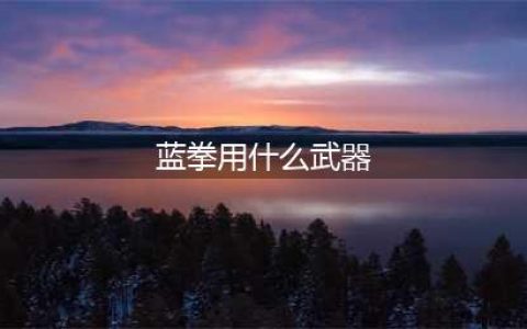 《DNF》100蓝拳武器怎么选 100蓝拳武器选择推荐(蓝拳用什么武器)