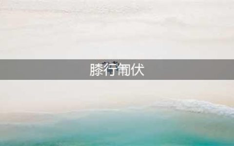 膝行匍伏的出处、释义、典故、近反义词及例句用法 - 成语知识(膝行匍伏)